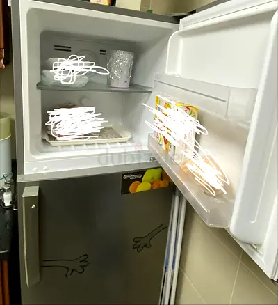 Fridge Double door
