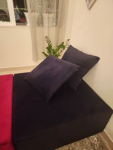 Cozy Modern Sofa with Cushions