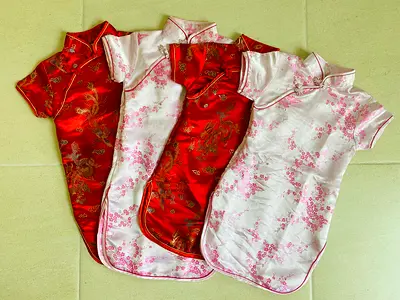 Set of 4 Lunar New Year Costume Dresses