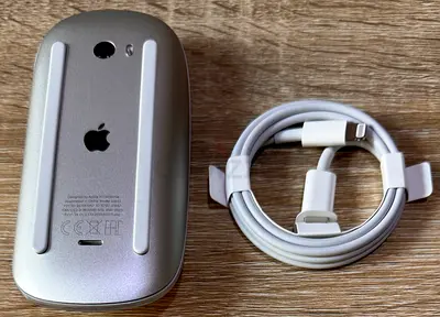 Apple Magic Mouse 2 with Charging Cable(Limited Edition,Silver) Multi Touch Surface