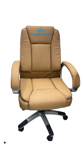 Comfortable Executive Office Chair