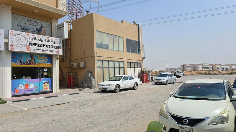 محل 300 قدم مربع في الياسمين عجمان64072889763713113