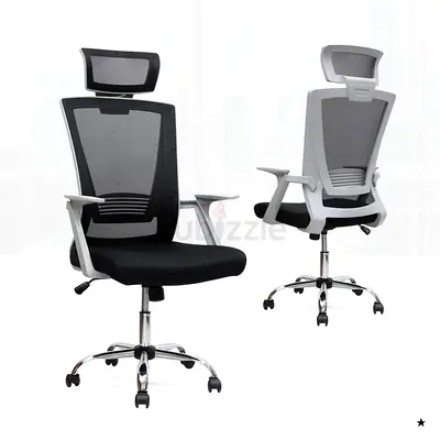 Ergonomic Office Chair with Lumbar Support