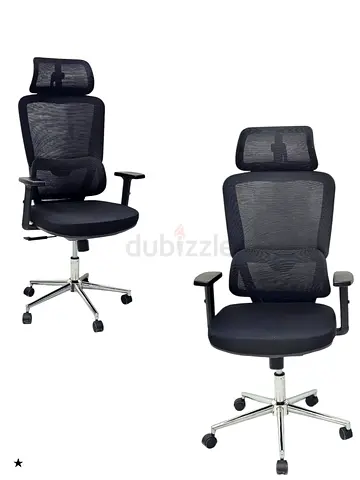Ergonomic Office Chair with Adjustable Features