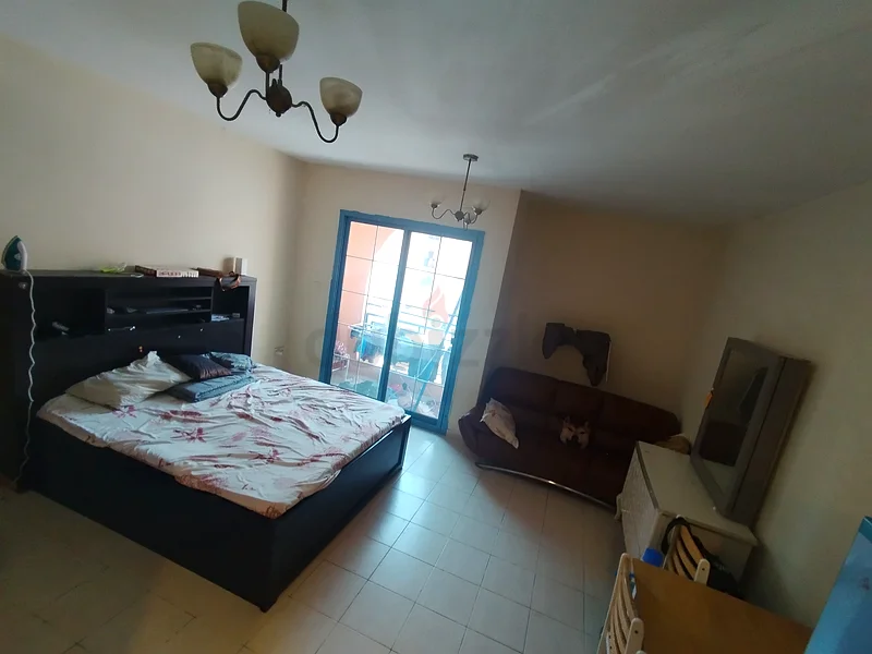 أرغب في عضو ذكر لشقة صغيرة مفروشة بالكامل64049290941569114