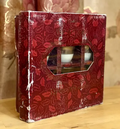 Vintage Decorative Tea Set in Unique Case