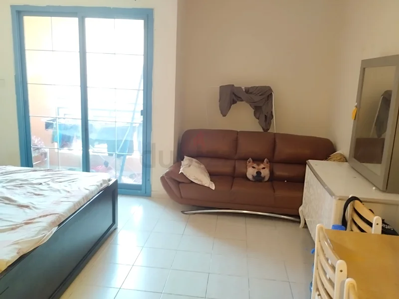 أرغب في عضو ذكر لشقة صغيرة مفروشة بالكامل64049290941569110