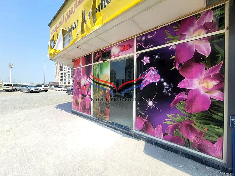 موقع رائع عرض ساخن متجر واسع64063472272643113