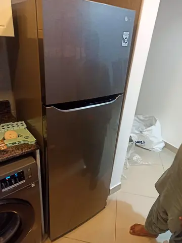 Lg 402 litter fridge