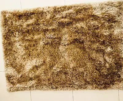 Soft and Cozy Shaggy Area Rug