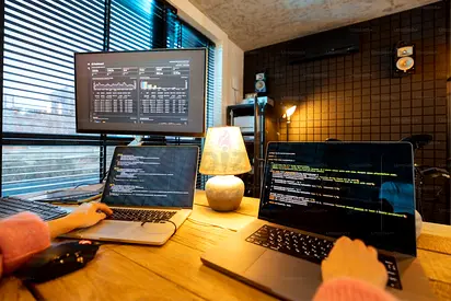 Website Development (Professional and Affordable)