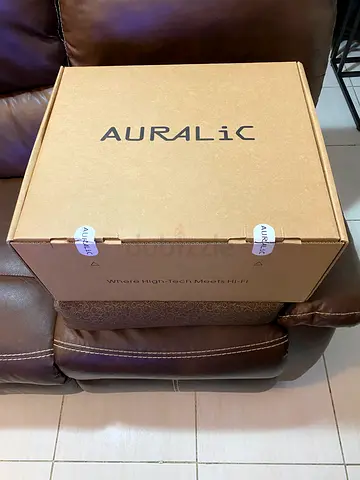 Auralic Aries G1 Streamer