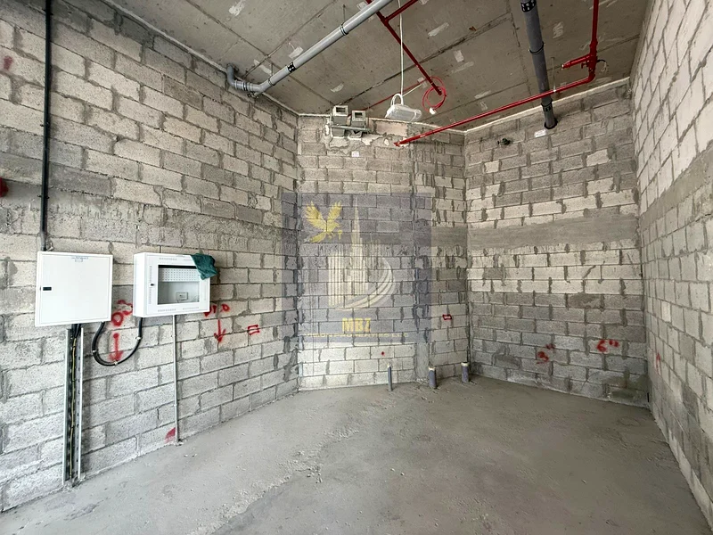 Commercial Retail Space | High Visibility | Azizi Riviera 3864065483673729113