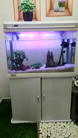 Aquarium with Stylish Stand - Perfect for Your Home!