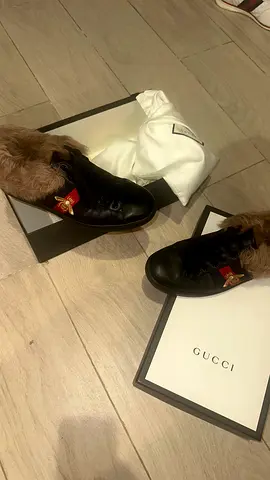 Sneakers gucci