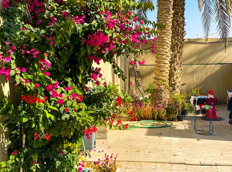 عقار للإيجار، غرفة للإيجار، فيلا64053412294145110