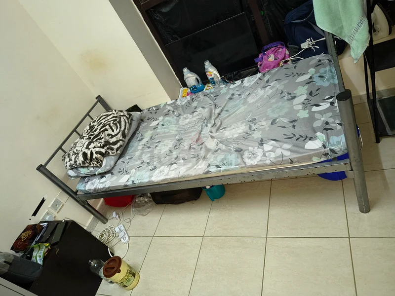 Two Bedspaces for rent in Medicom pharmacy building near horse roundabout , al salamah, ummalquwain.64054607157506111