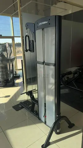 Life Fitness Omnia Arm Tower for Bizeps and Trizeps