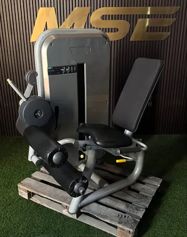 Technogym Element Leg Curl Machine
