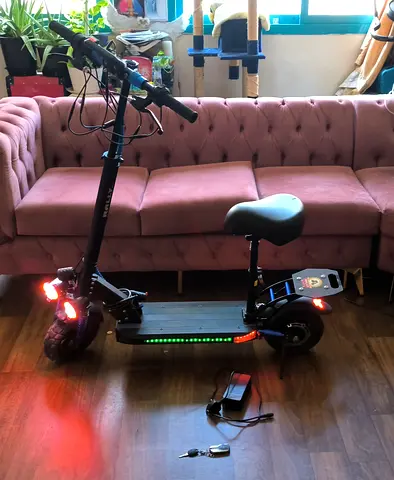 RALLY Foldable Electric Scooter 2000W