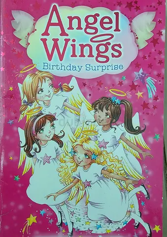 Angel wings book
