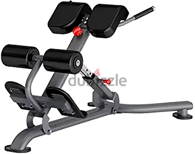 Insight Fitness DR010B Back Extension