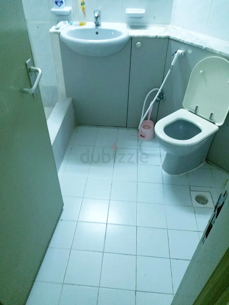 غرفة للإيجار الشهري في برج أسبين، شيخ زايد64226219768449114