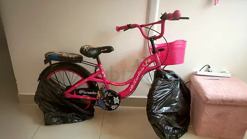 Childrens Bicycle Girl