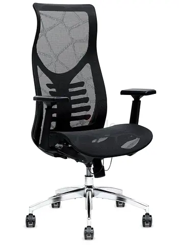 Ergonomic Office Chair for Ultimate Comfort