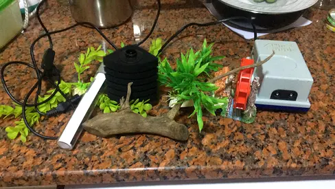 Aquarium with accessories