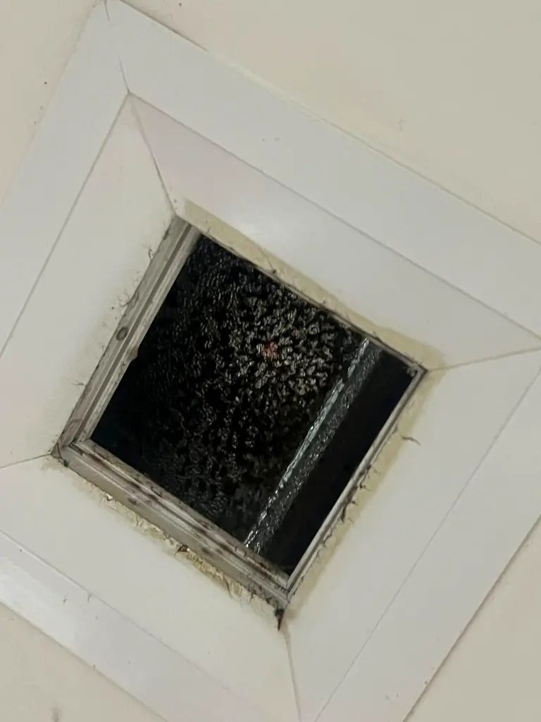 DPV_View_Image_2
