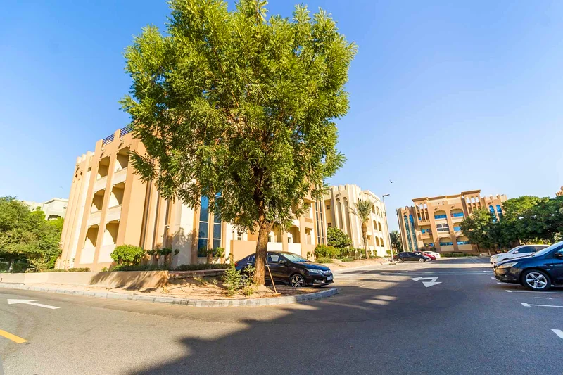 إيجار عقاري كامل للمبنى إيوان | 12 شقة64395296302339114