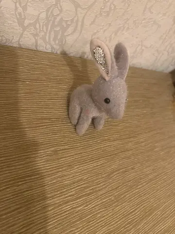 Cute Grey fluffy Bunny for Sale!