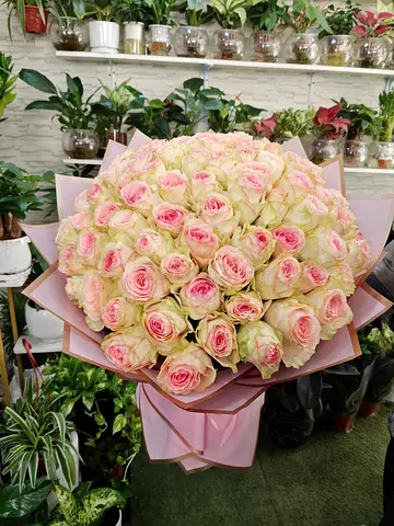 Exquisite 101Pink Roses Bouquet for Collectors