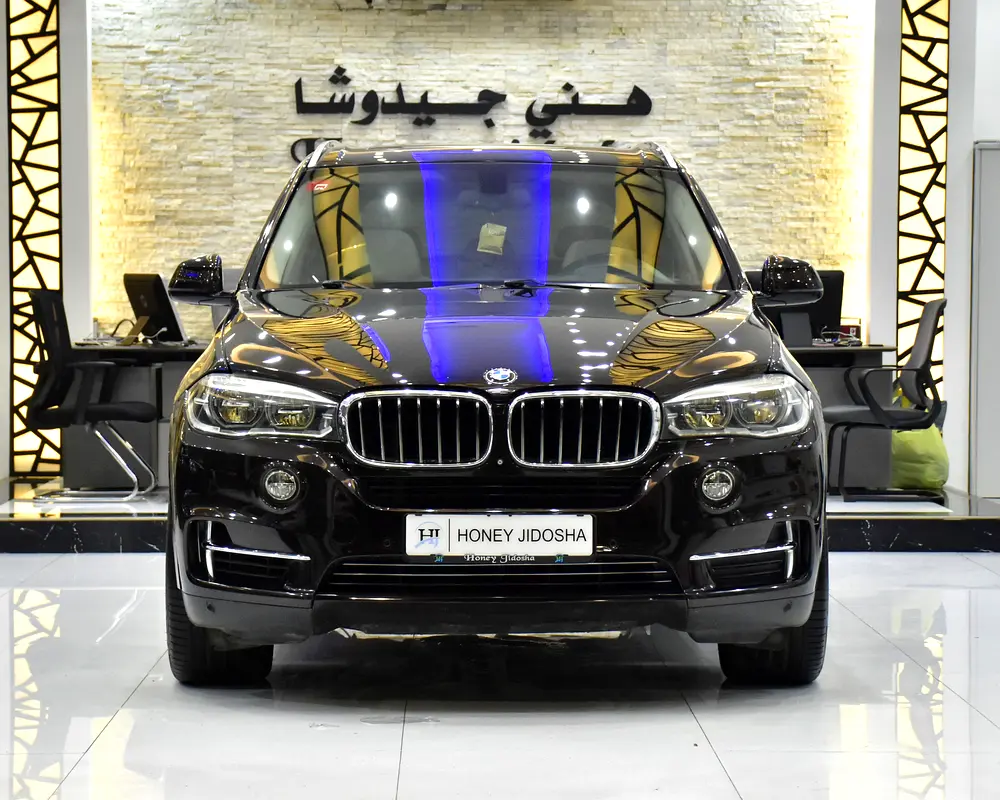 BMW X5 2014 — photo 1 of 18