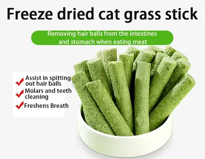 Cat grass teething sticks
