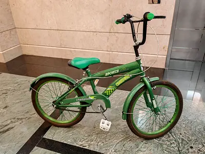 Vintage Green Sports Champion Bicycle for Kids