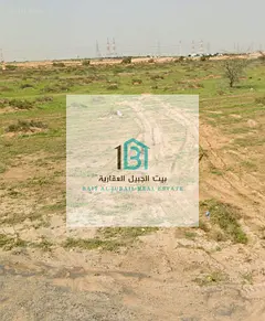 Prime land in Al Maleha – Commercial &amp; Residential – Ground + 4 Floors – Corner plot on St