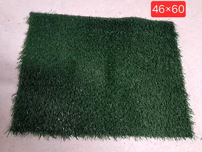 Stylish Green Artificial Grass Mat 46x60 for Your Home  Garden