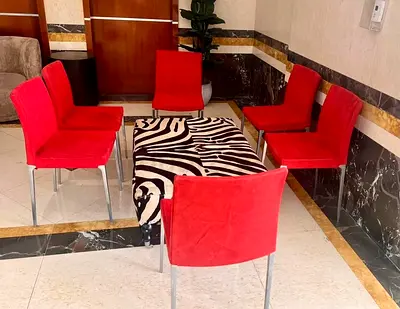 LIGNE ROSET French Luxury 6 DINING CHAIRS LUXURY DESIGNER MARINA