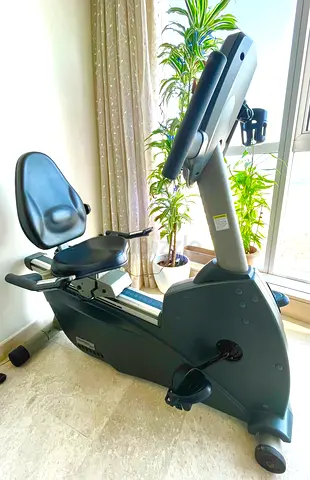 Ultimate Comfort Professional Recumbent Exercise Bike for Your Home Gym