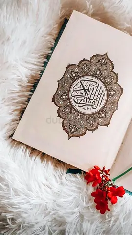 Certified Quran QARI and learn arabic and tajweed with correct pronunciation ◽️▫️✔️✔️✨️
