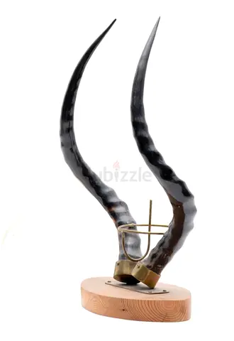 Unique Decorative Impala Horns Sculpture