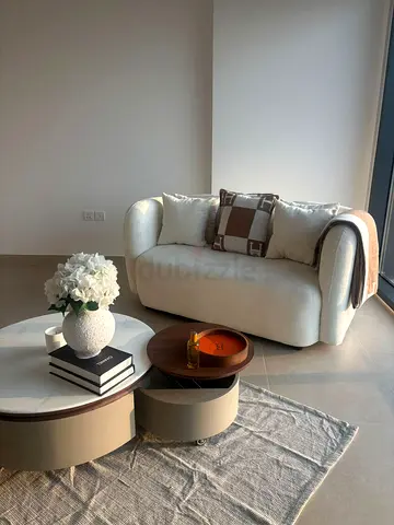 Stylish and Cozy Sofa with Elegant Coffee Table
