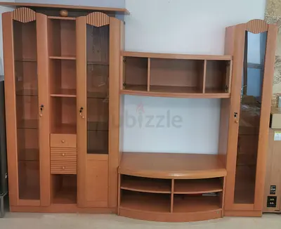 Showcase /Book case w space for TV , large size
