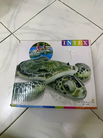 Inflatable pool turtle
