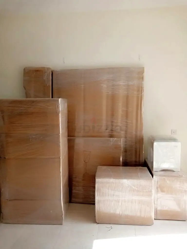 DPV_View_Image_4