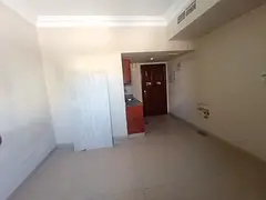 Lavish studio with separate kitchen