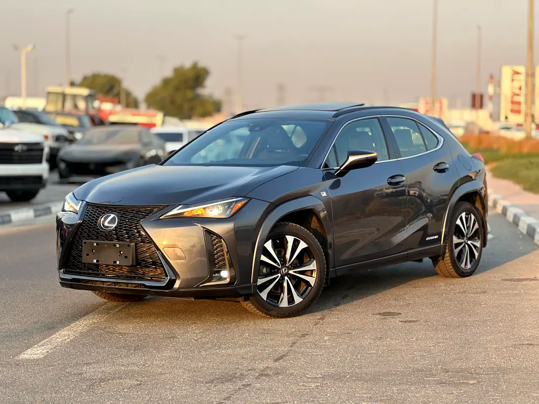 Lexus UX-Series 2022 — photo 1 of 17