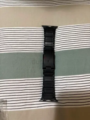 Apple Watch band titanium